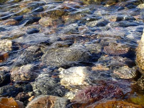 Large rocks and algae in the clear water of the white sea with glare from the Stock Photos