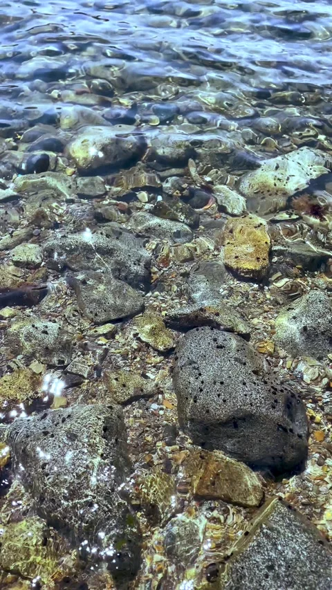 Large rocks at bottom of the ocean through the ripples of water. Vertical video Stock Footage 311021854