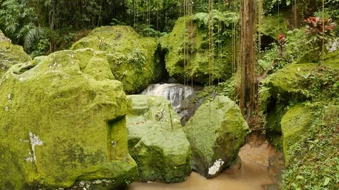 Large rocks covered in bright green moss and waterflow Stock Footage 111221464