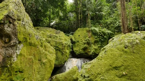 Large rocks covered in bright green moss and lianas at Elephant Cave Temple Stock Footage 111221737