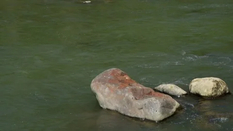 Large rocks on the edge of the river Stock Footage 297628940