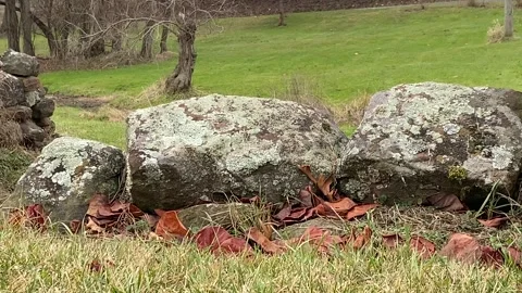 Large rocks Video stock 259346583