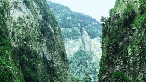 Large rocks overgrown with trees, view from the foot of the gorge Stock Footage 128907272