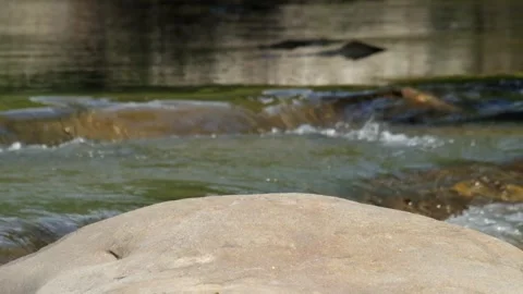 Large rocks in the river for product placement Stock Footage 336844179