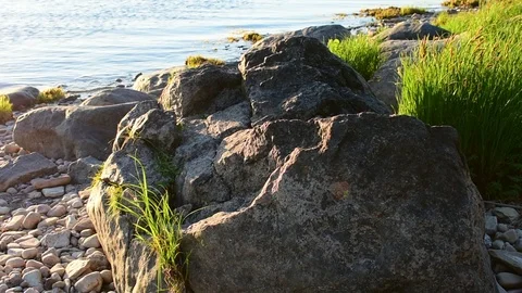 Large rocks on the shore Stock Footage 110835863