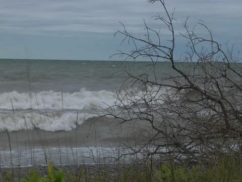 Large rolling waves crashing onto a beach with tree branches - slo motion -01 Stock Footage 38707759