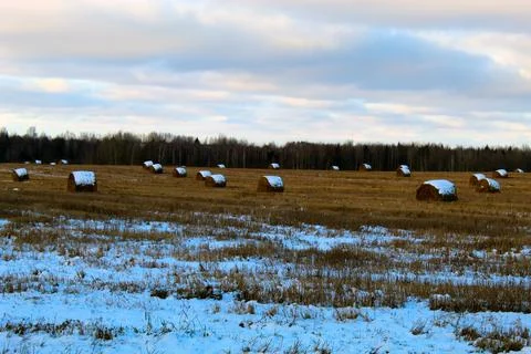 Large rolls Stock Photos