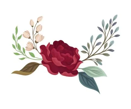 Large rose on a branch with leaves. Vector illustration on a white background. Stock Illustration