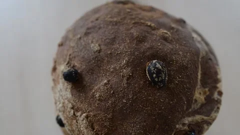 Large round bread with raisins spinning in a circle. Stock Footage 152193457