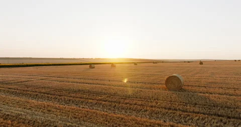 Large round hay bales rest sunlit farmland after harvest Stock Footage 301885194