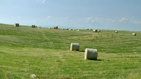 Large round hay bales rolled up in a farmers field Stock Footage 116116392