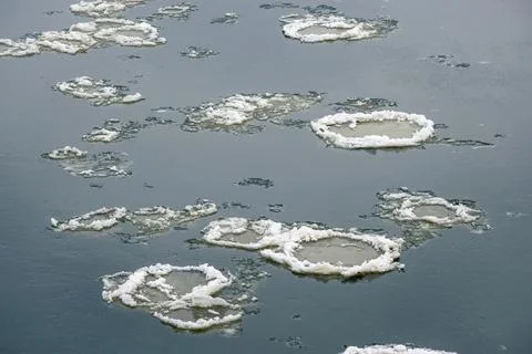 Large round ice floes floating down the river. A river cleared of ice. Фото