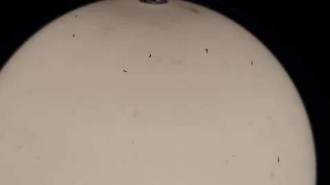 Large round lantern lamp Vídeo Stock 318850697