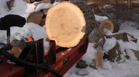 Large round log being split with snow covered log pile in background Stock Footage 1008926