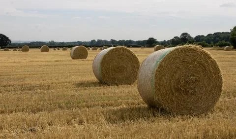 Large Round Straw Bales Stock Photos