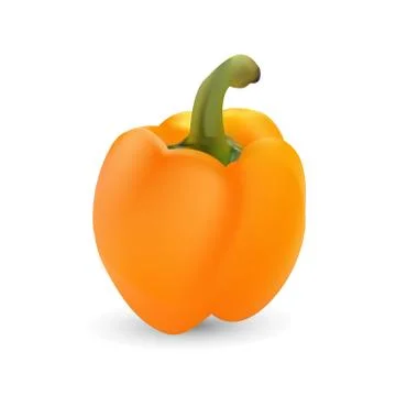 Large round yellow bell pepper Illustrazione stock