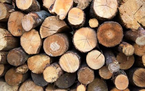 Large rural stack of firewood. Old firewood. Background. Foto stock