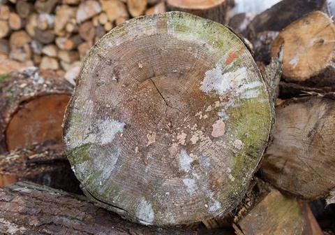 Large rural stack of firewood. Old firewood. Background. Stock Photos