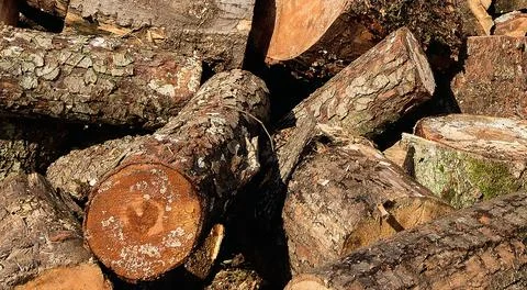 Large rural stack of firewood. Old firewood. Background. Stock Photos