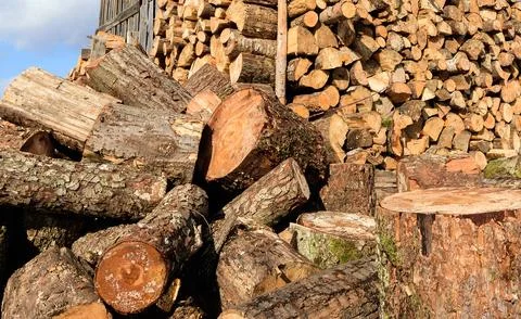Large rural stack of firewood. Old firewood. Background. Stock-Fotos