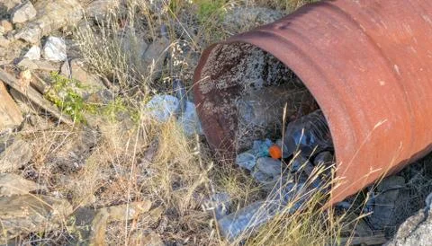 Large rusty iron barrel with plastic trash inside in the forest. Stock Photos