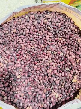 A large sack filled with deep red kidney beans Stock Photos