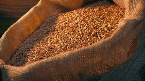 Large Sack Of Grain Moving Shot Stock Footage 313411294