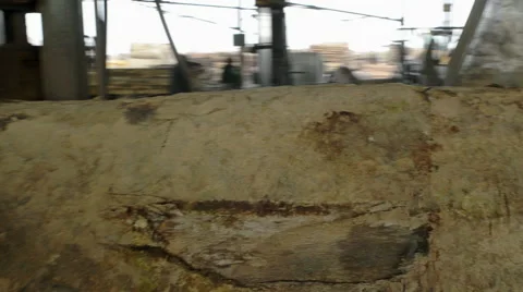 Large sawmill Stock Footage 52530556