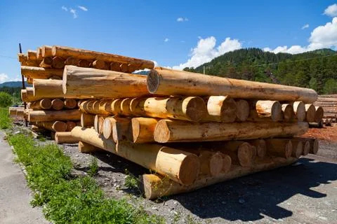 Large sawn round pine trees are laid in a pile for preparation of the product Stock Photos