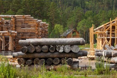 Large sawn round pine trees are laid in a pile for preparation of the product Stock Photos