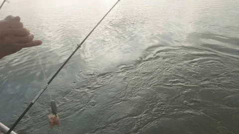 Large sazan is on hook. Fish is dragged to board of boat. Sazan is put into boat Stock Footage 125420788