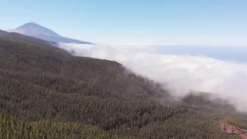 Large-scale aerial view of the main attraction of the island of Tenerife - the Stock Footage 110896374