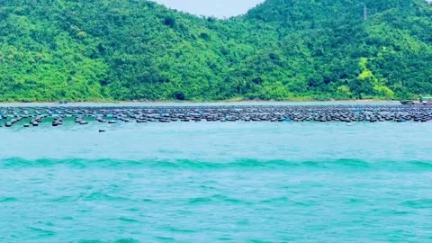 Large scale aquaculture farming area with black buoys on the water in Bai Tu Stock Footage 327802427
