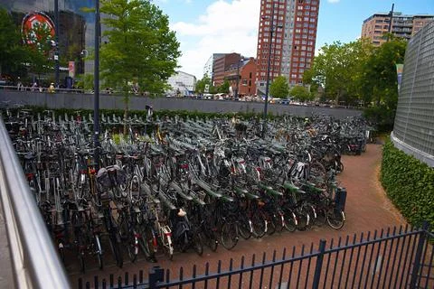A large-scale bicycle parking facility in the Netherlands, near the railway.. Stock Photos