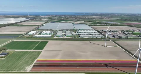 Large scale data center, bits and bytes, server space, cloud services, building Stock Footage 310355789