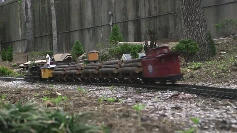 Large Scale Garden Railroad Vidéo 264163248