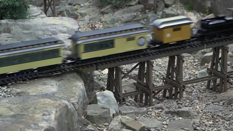 Large Scale Garden Railroad Stock Footage 264164278