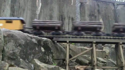 Large Scale Garden Railroad Vidéo 264164768