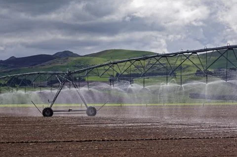 Large scale irrigation system for a dairy farm Stock Photos