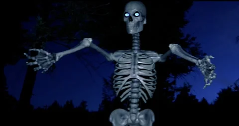 Large scale moving Skeleton bathed in blue tint 動画素材 289303267