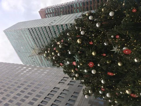 Large Scale Public Christmas Tree with Decorations in South Street Seaport Stock Photos