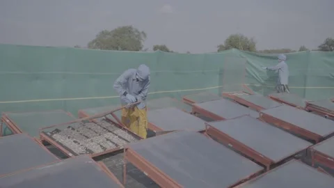 Large-scale solar drying operation for agricultural products Vídeos de archivo 327443476