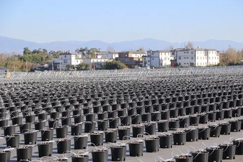 Large-scale water storage setup for agriculture or industry, with uniform c.. Foto stock
