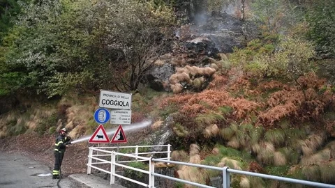 The large-scale wildfires on Italy Vídeos de archivo 342821364