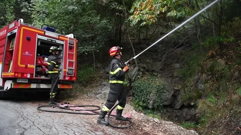 The large-scale wildfires on Italy Stock-Footage 342821390