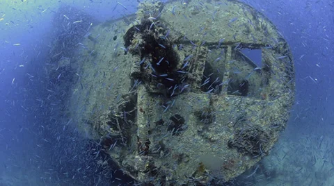 Large school of fish, world war 2 shipwreck - SS Thistlegorm - HD1080p 25fps Stock Footage 37814327