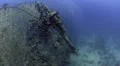 Large school of fish, world war 2 shipwreck - SS Thistlegorm - HD1080p 25fps HD Footage