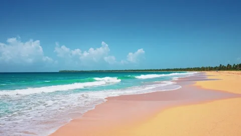 Large sea waves with white foam on a sandy tropical beach on a sunny morning. Stock Footage 317308996