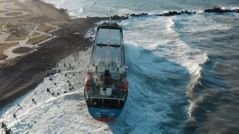 A large seagoing vessel dry cargo. Stock Footage 170742965