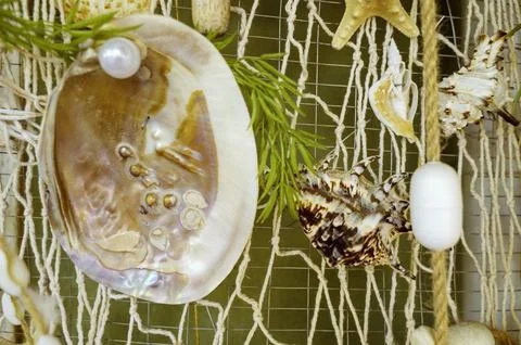 Large seashell with a white pearl inside surrounded by other shells. Luxury 库存照片